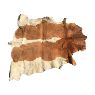 Old cowhide 135 x133 cm