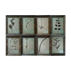 Lot de 8 planches herbier