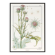 Poster “Thistle”, after an Art Nouveau lithograph from 1897