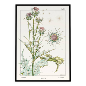 Poster “Thistle”, after an Art Nouveau lithograph from 1897