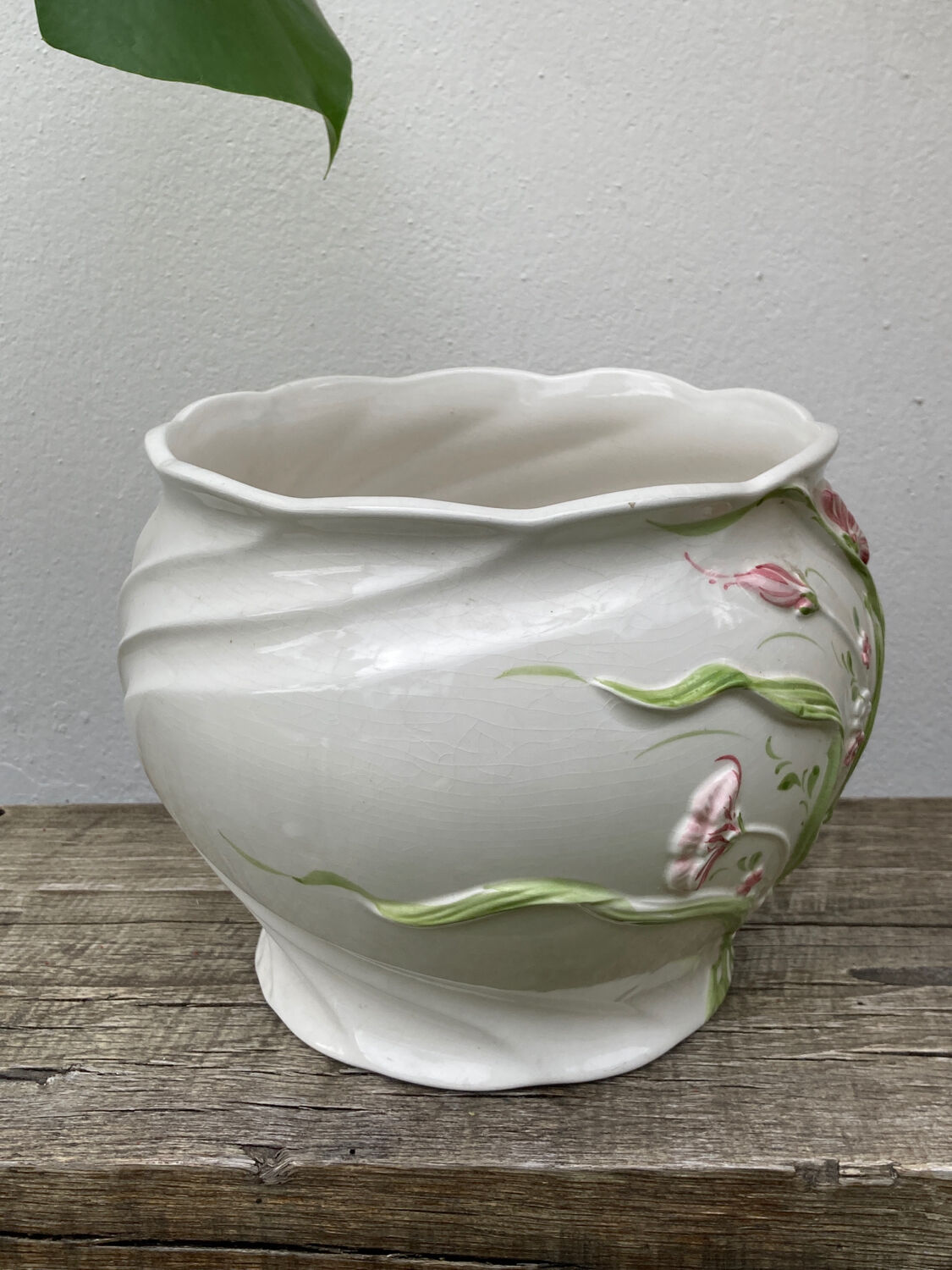 White ceramic pot cache of flower slip and old green foliage