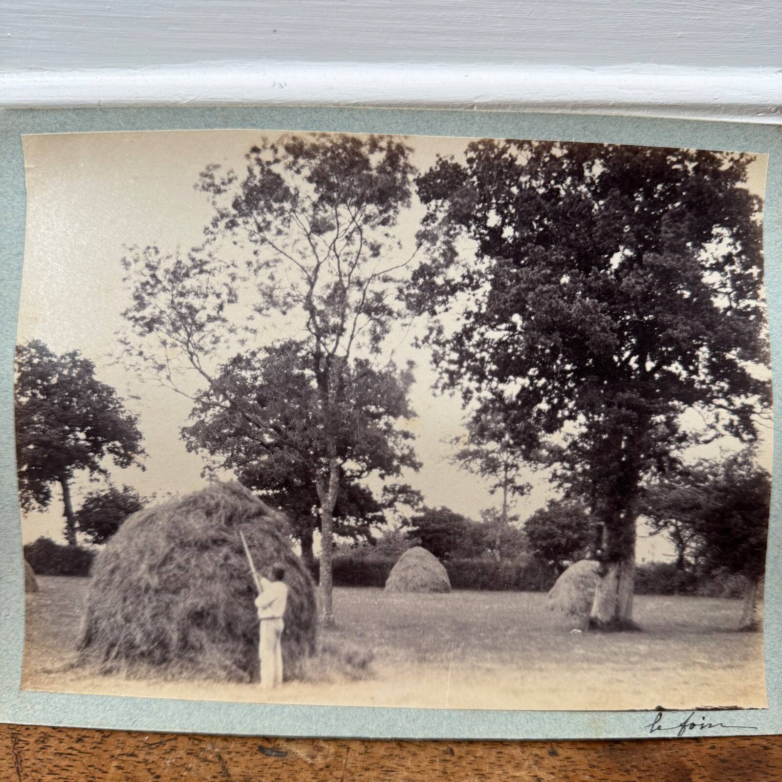 Photo album mounted on cardboard depicting haymaking in the 19th century.