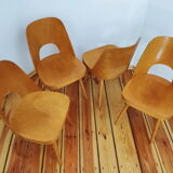 Ensemble de quatre chaises par O. Haerdtl pour Ton Tchécoslovaquie, années 1960