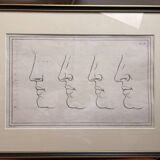 Old Print Engraving 19th Century Anatomy Nose Mouth Plate Head Morphology