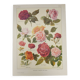 Gravure Originale de 1922 - Roses - Planche ancienne de  fleurs de J.M Dessertenne
