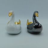 Couple of dirtyons, black swan and white swan