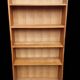 Vintage library shelf with compass base