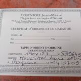 Hand-knotted wool oriental rug