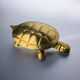 Regency turtle jewellery box in brass, Italy, 1970s