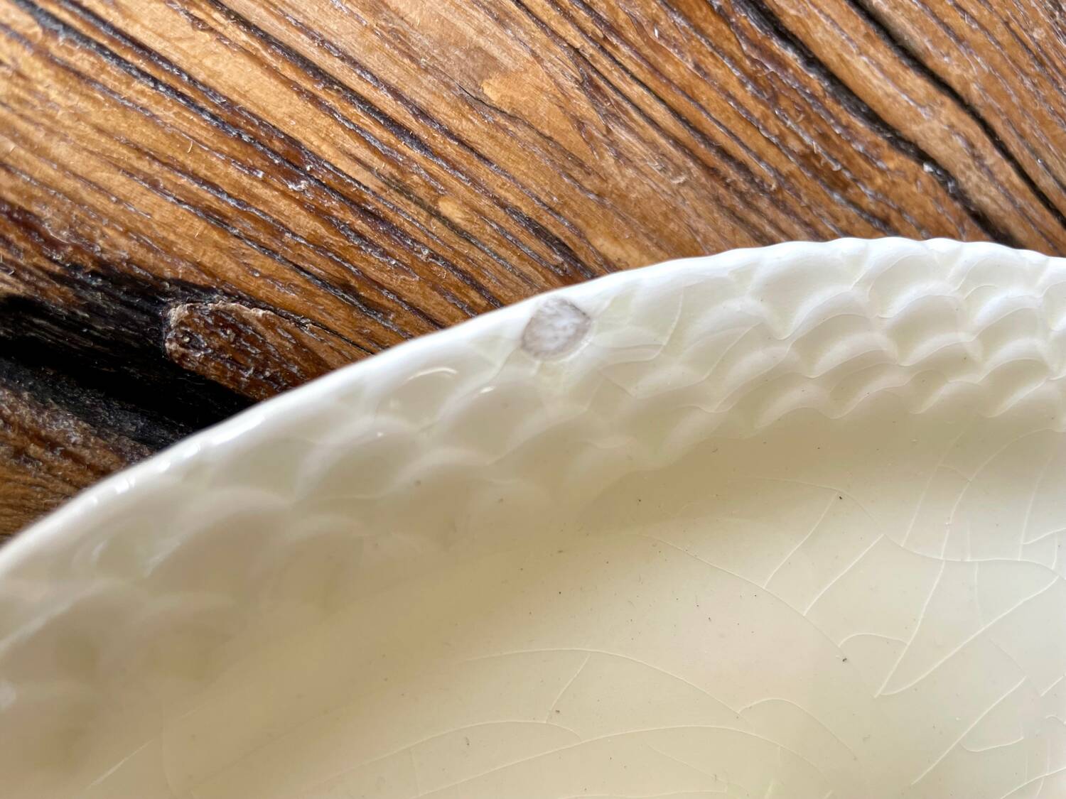 Large fish platter with its sauce boat, annecy model, vintage gien.