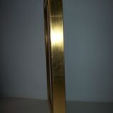 Butterfly stuffed under frame