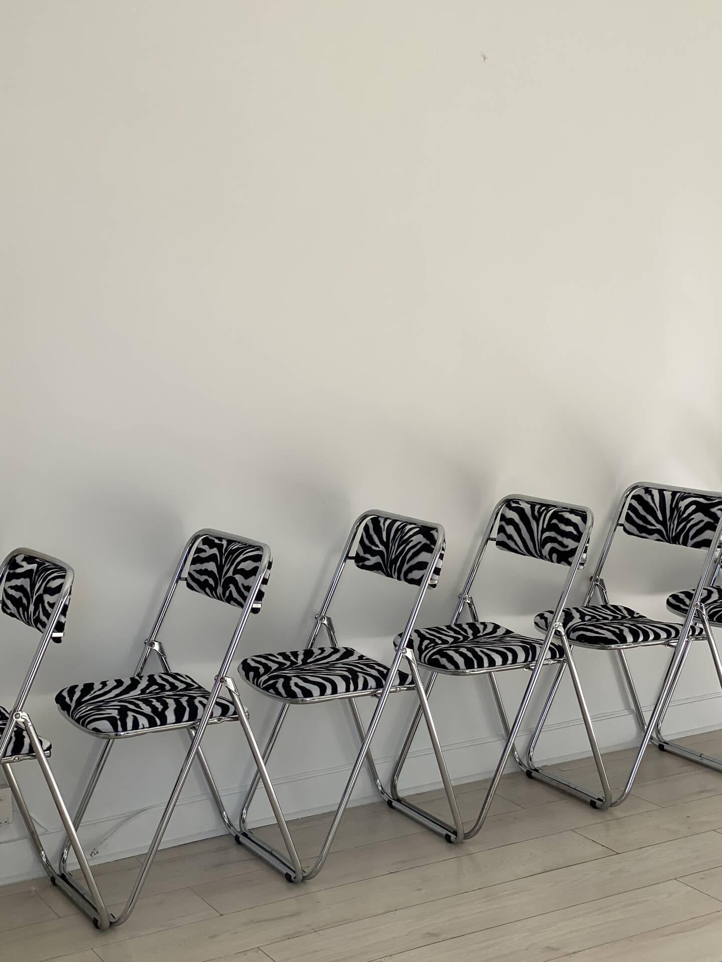 6 zebra folding chairs