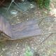 Former wooden and metal wheelbarrow
