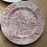 Set of mismatched plates
