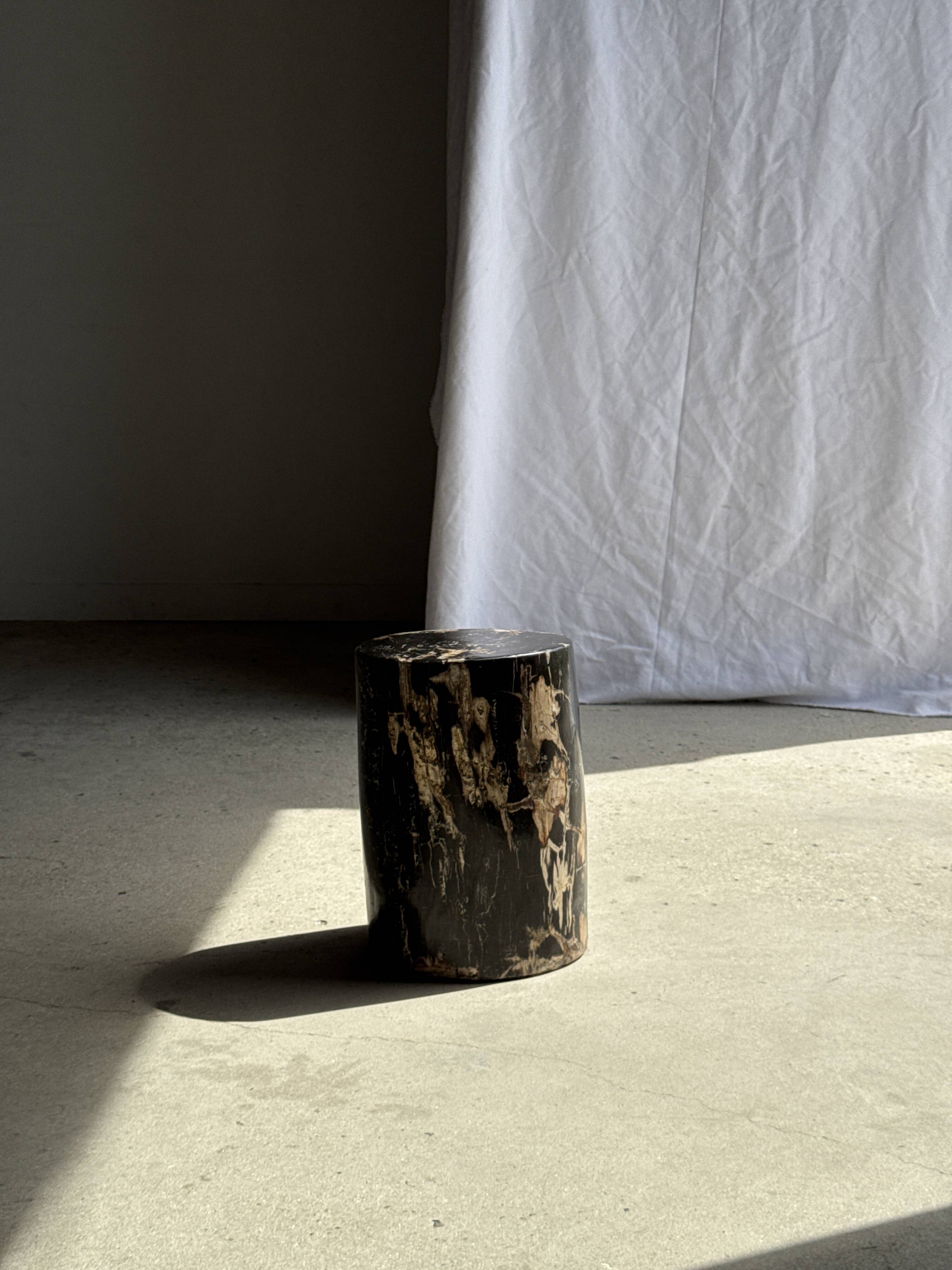 Black petrified wood side table with beige side H35 D24 - 3352