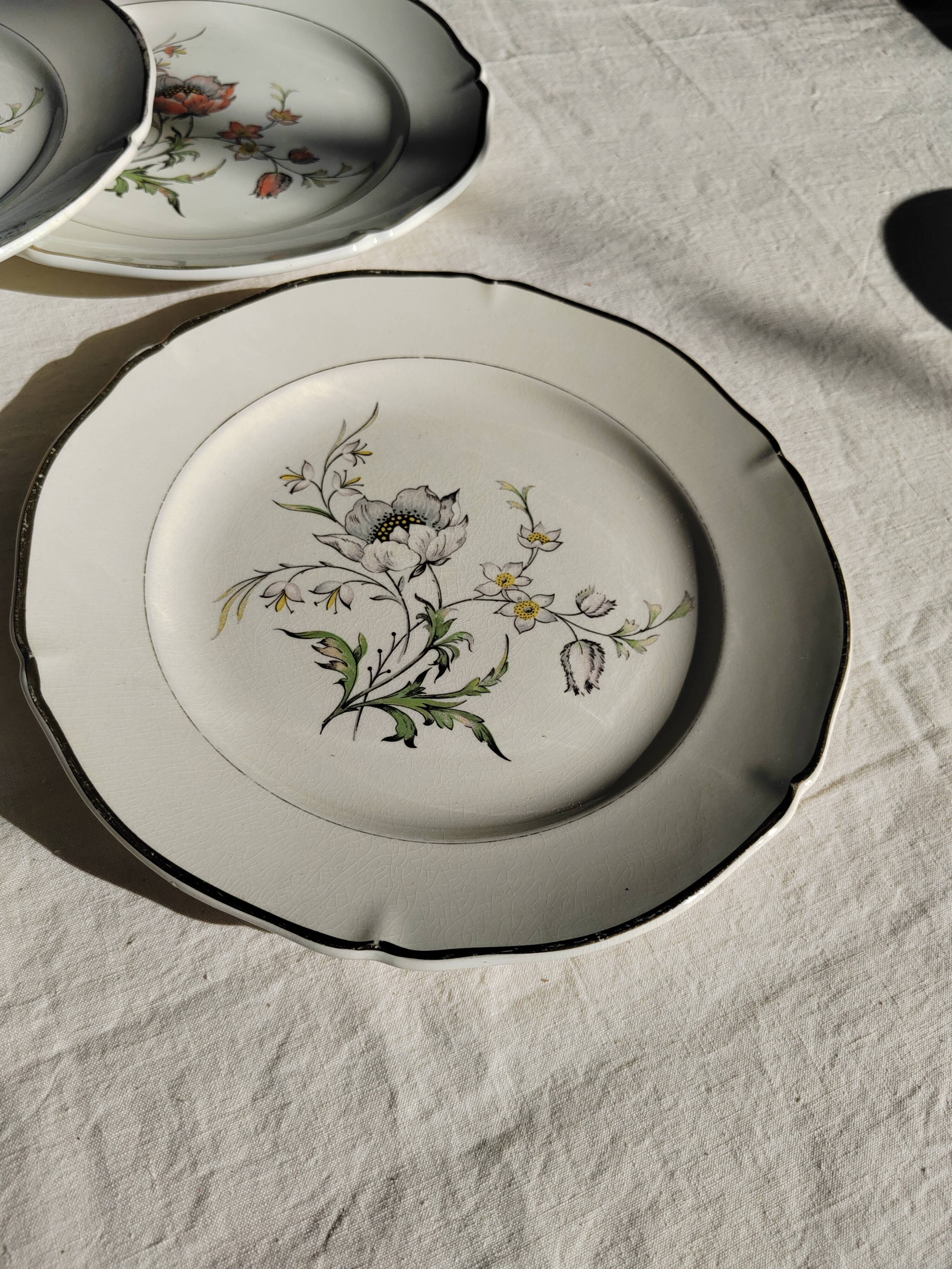 6 flat plates “Saverne” Saint Amand