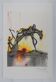 Salvador Dali: Horses, the workhorse, signed lithograph