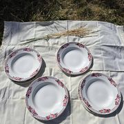 Lot of 10 deep and flat plates Ceranord St Amand model Roubaix +2
