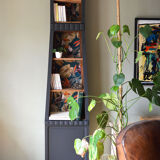 Black Comtoise with shelves