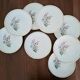 Vintage Floral Pattern Gien Earthenware Dinner Plates