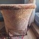 Fauteuil crapaud velours