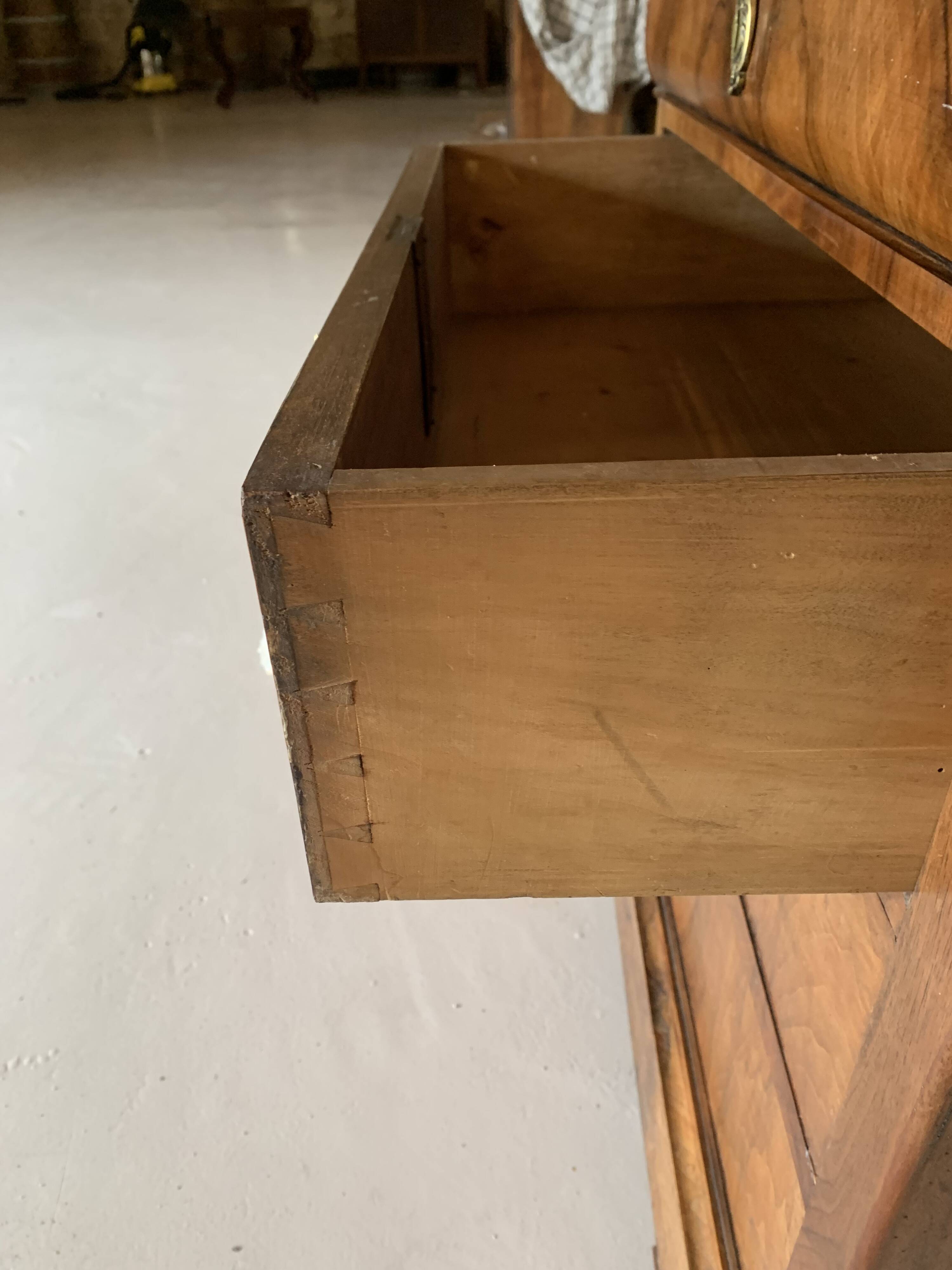 Louis Philip burr walnut chest of drawers