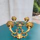 Paire d'appliques deux branches
