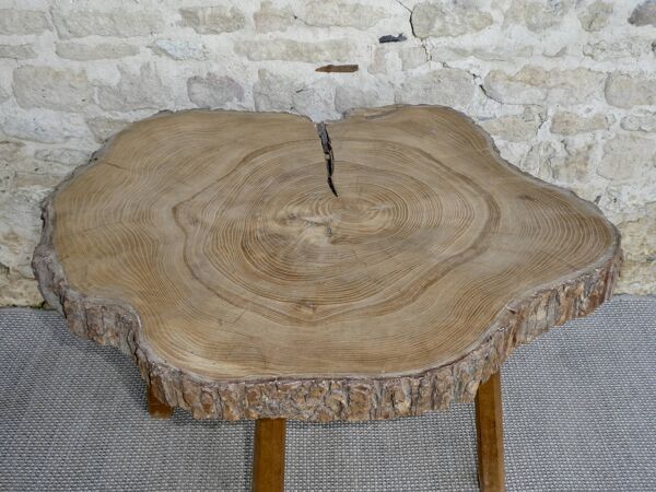 Table basse guéridon en bois brut tronc d'arbre