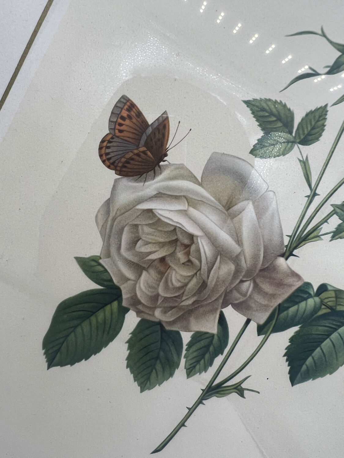 Vintage lithography frame