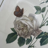 Vintage lithography frame