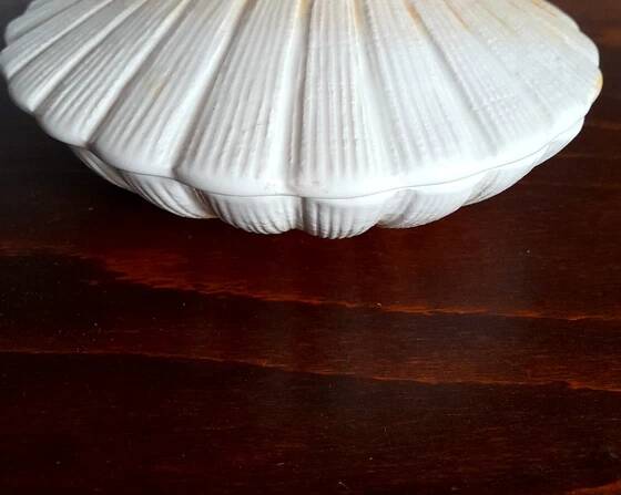 Ceramic shell 1960