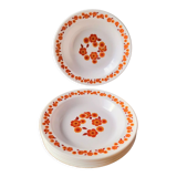 Arcopal Lotus 70s plates