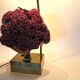 Rare red pipe organ coral brass table lamp, 1970s