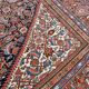 Tapis ancien persan Ferahan 336x412 cm