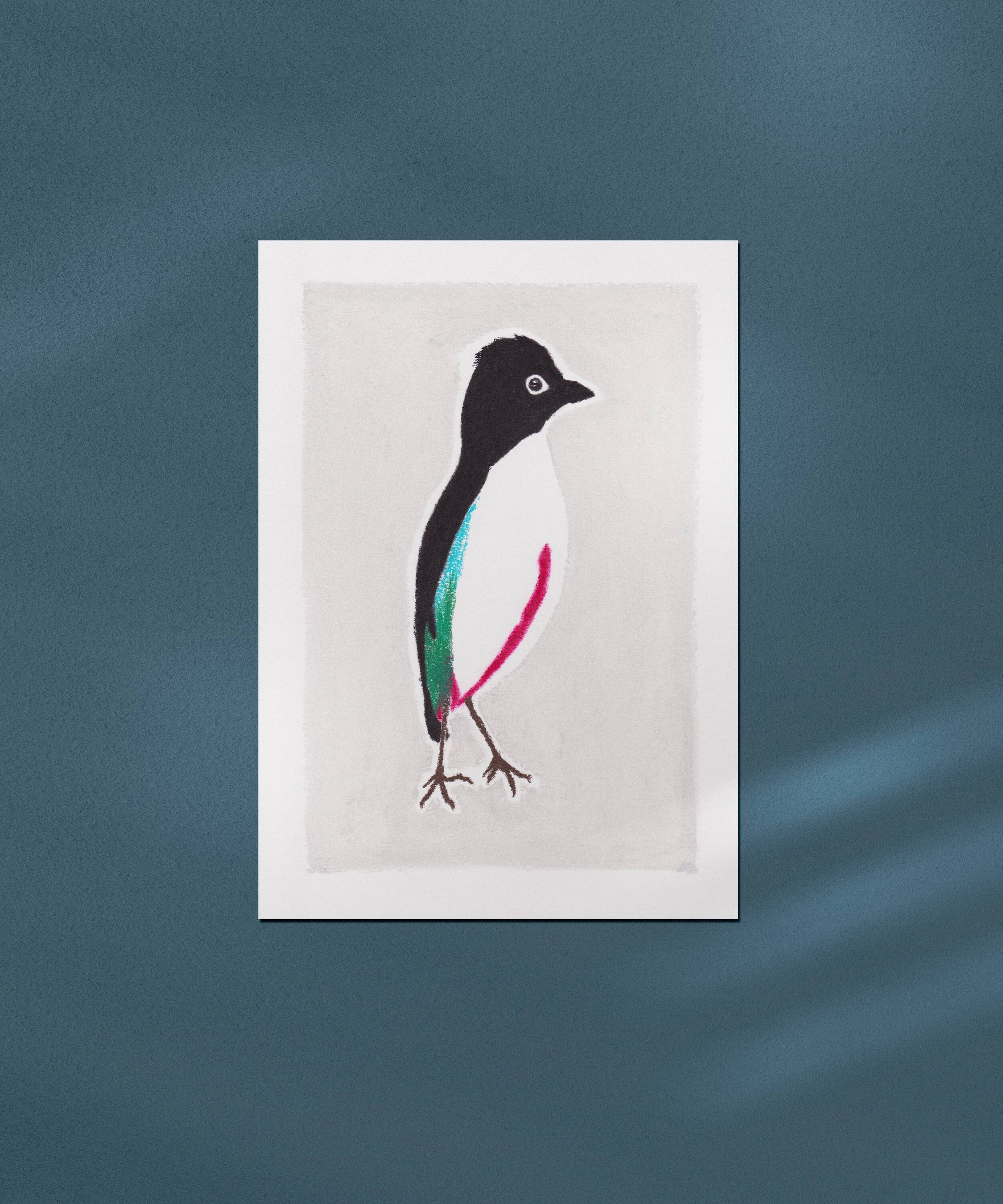 Bird "Pitta maxima" - Original drawing