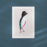 Bird "Pitta maxima" - Original drawing