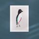 Oiseau "Pitta maxima"dessin original