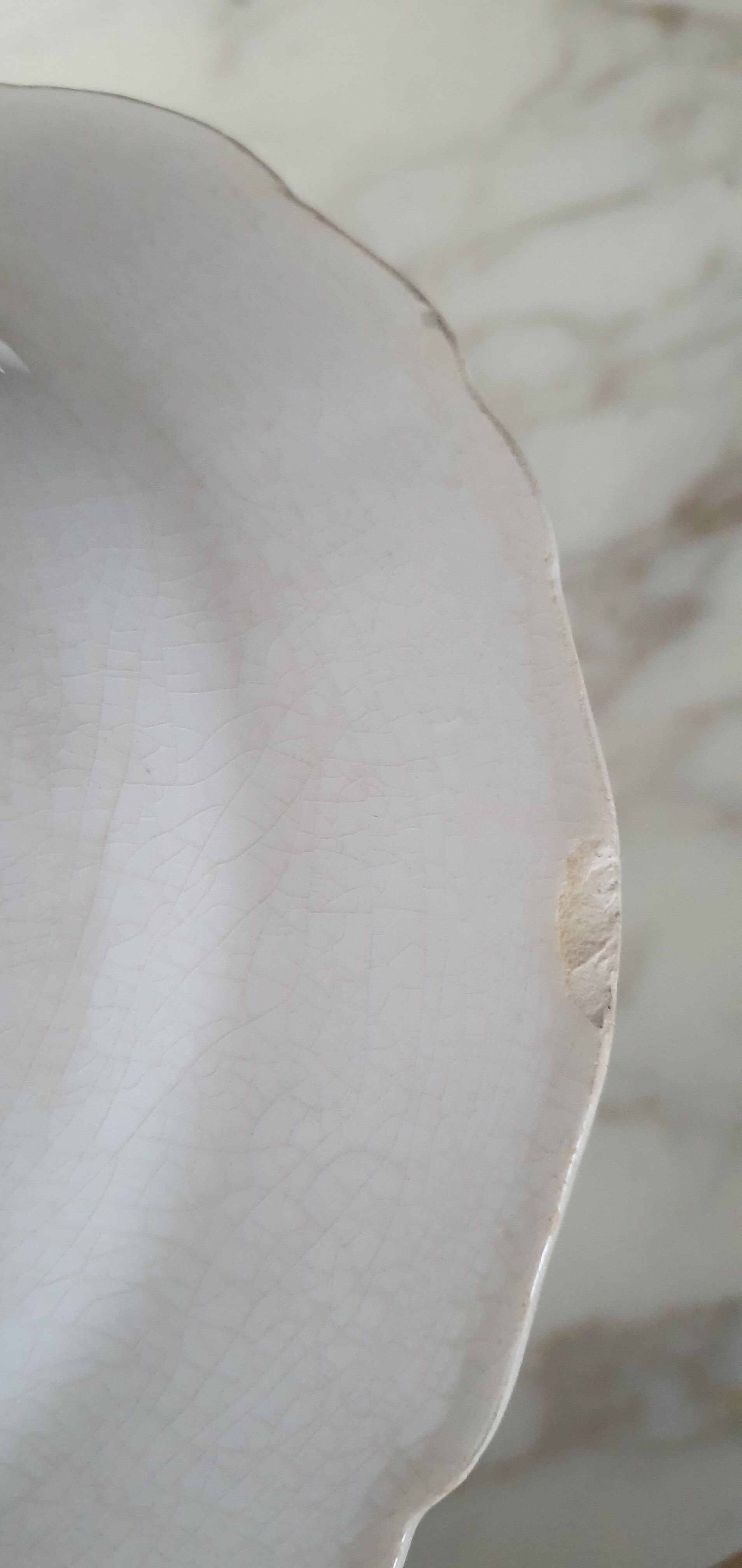 Earthenware plates Sarreguemines