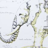 Original lithograph signed and numbered François Delaroziere L'éléphant, 2008.