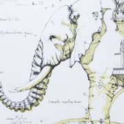 Original lithograph signed and numbered François Delaroziere L'éléphant, 2008.