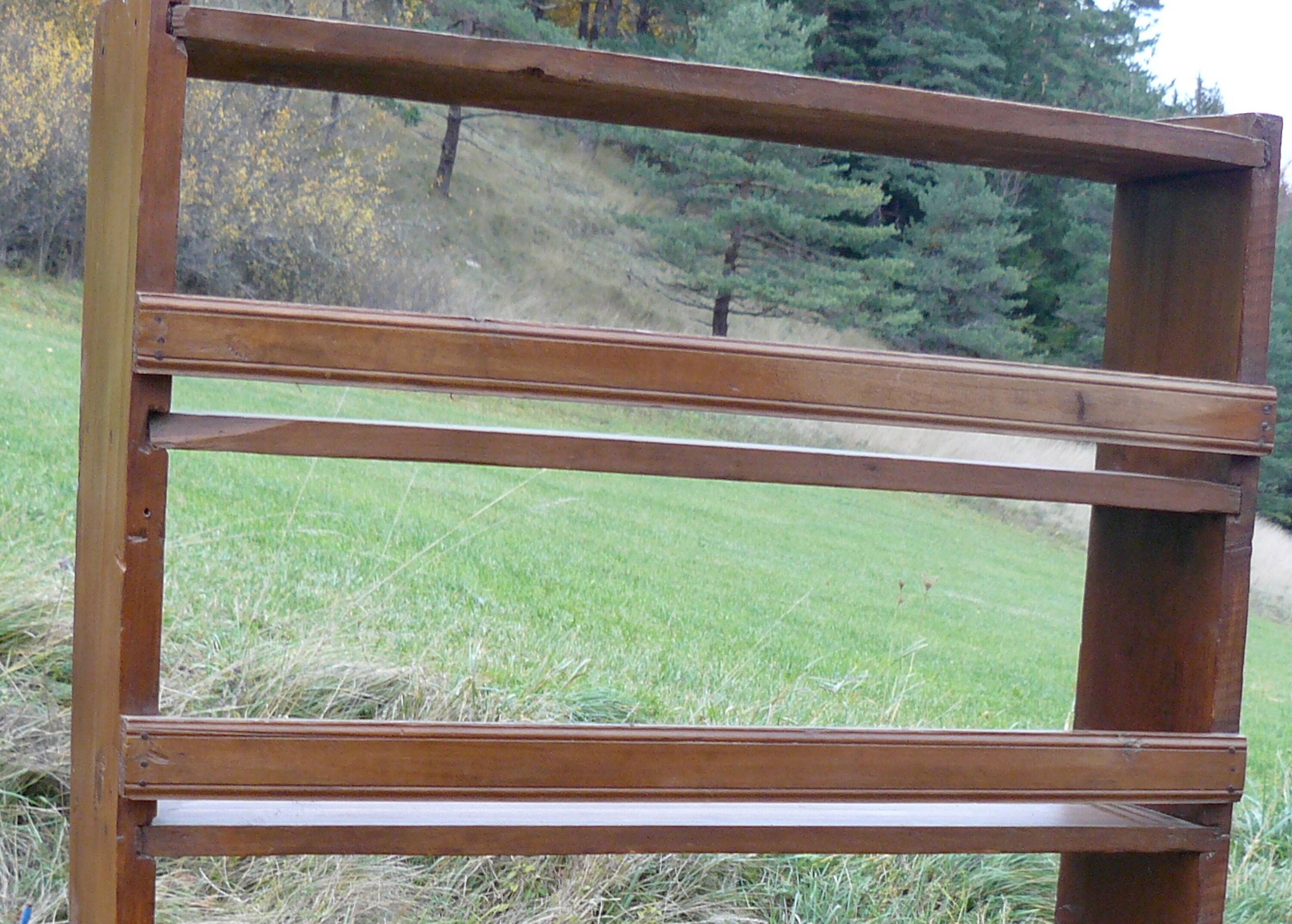 Savoyard folk art sliding door pantry shelf