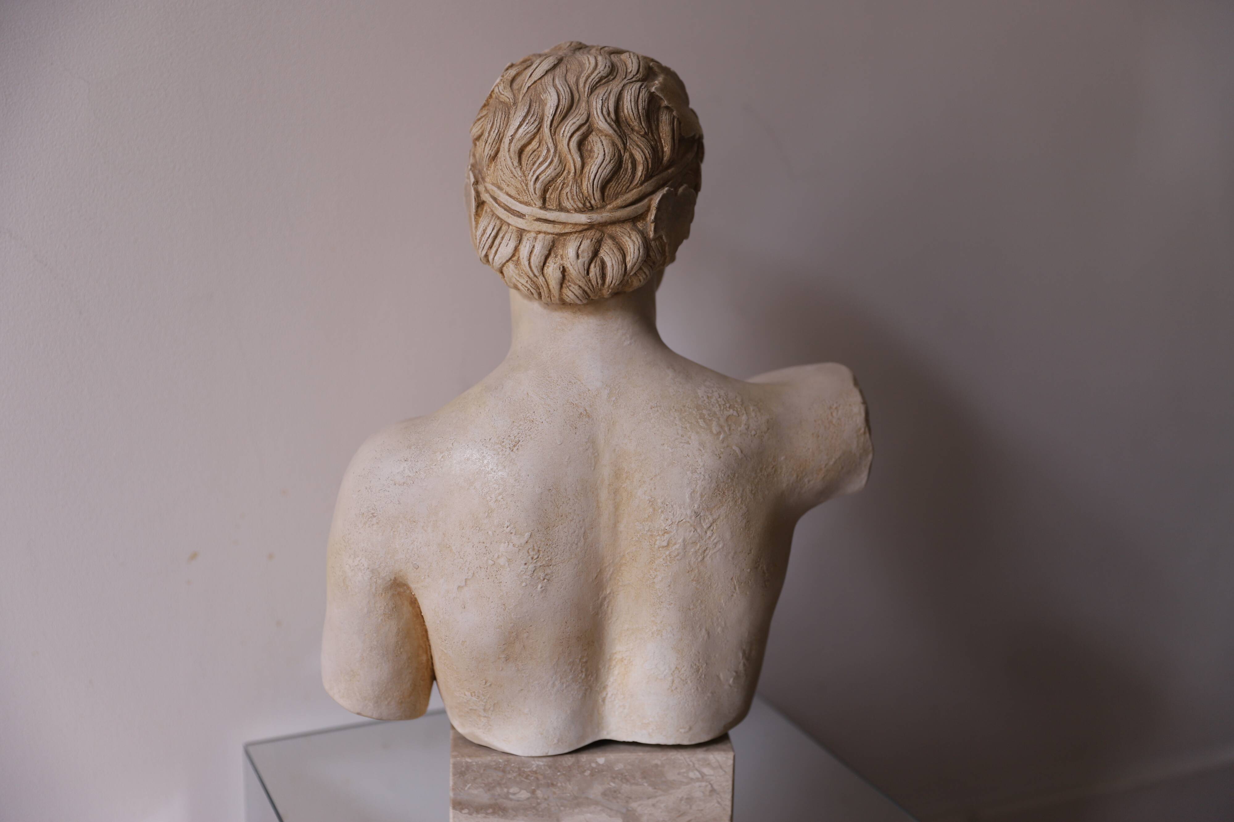 Plaster bust of Apollo