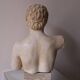 Plaster bust of Apollo