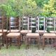 Suite de 17 chaises paillées à haut dossier