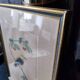 Gravure colorisée, Loriot Jonquille, 19e