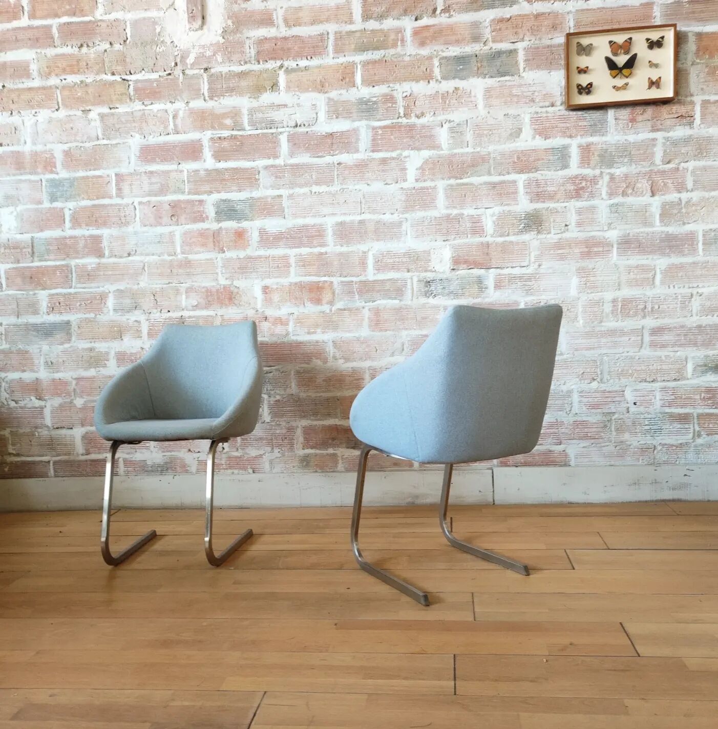 Design armchairs office / living room