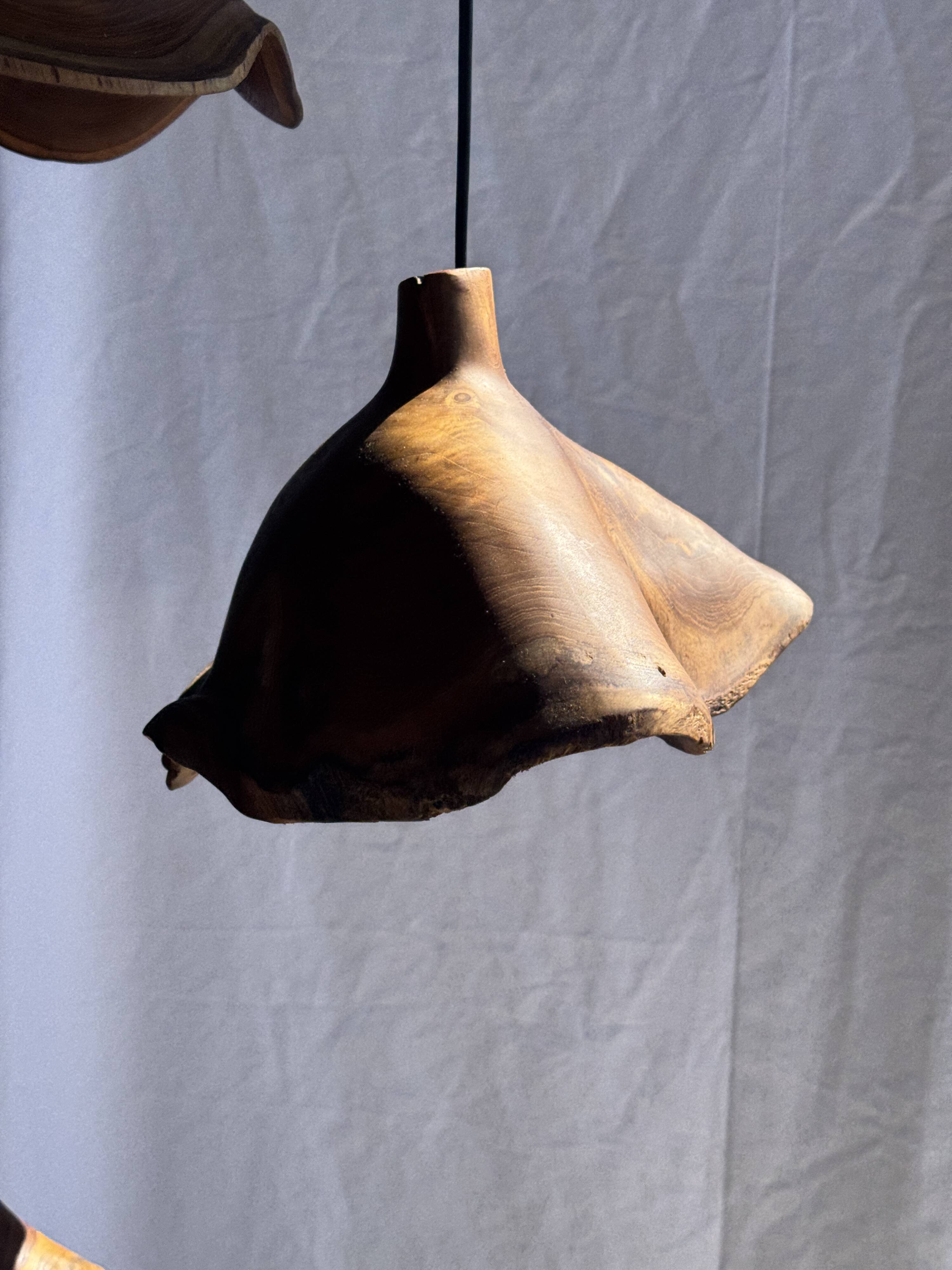 Small suspension in organic teak hat D30 H20