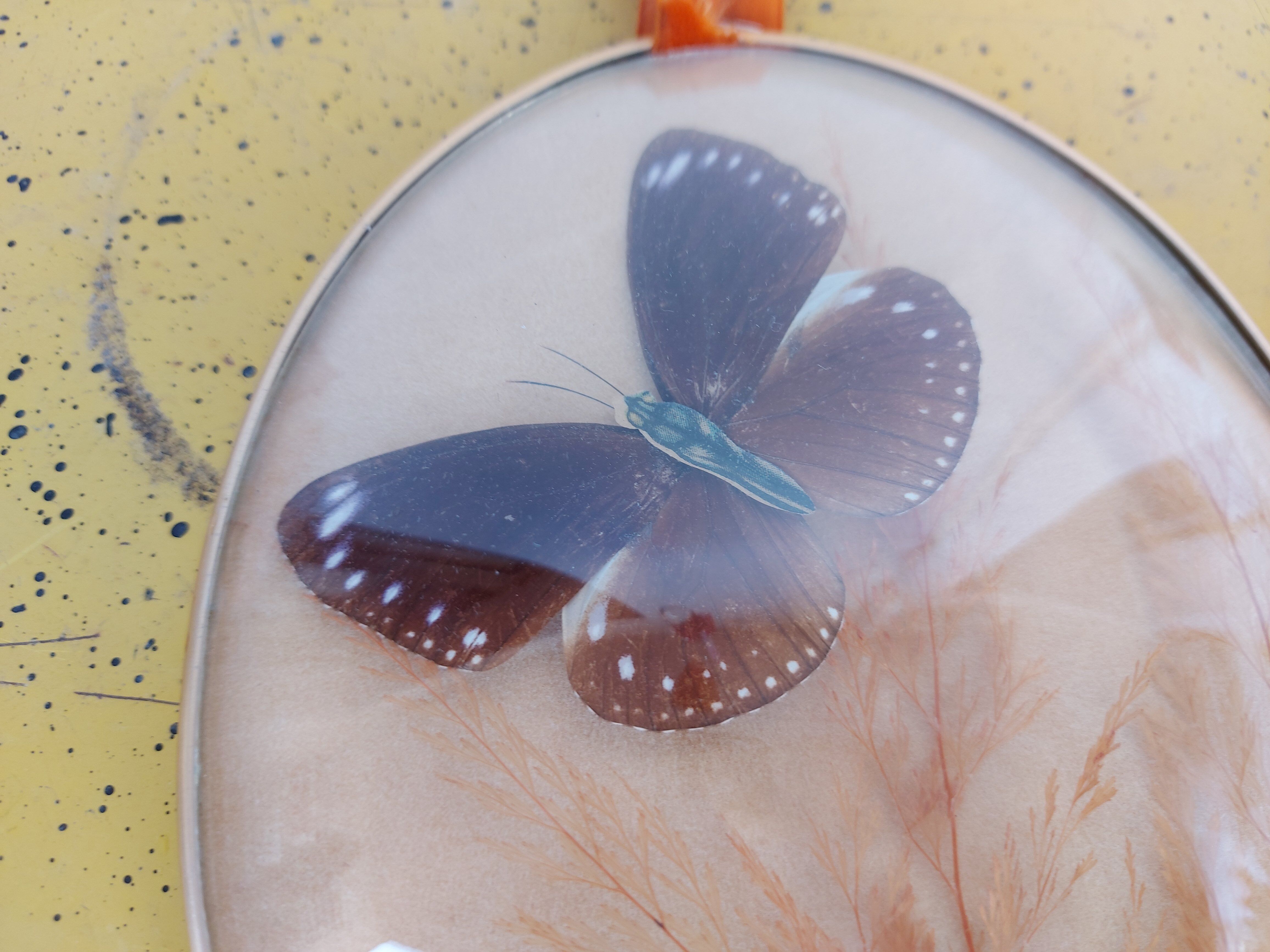 Pair of vintage butterfly frames