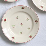 Set of 4 flat plates Niderviller, vintage