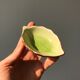 5 mini leaf-shaped ceramic ramekins, handmade, for sauces